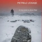 Lecturi 529 (Blog tour nr. 152): Ann Cleeves – Pietrele ucigașe